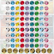 Terastal Grand Gathering (CSV9.5C) Coin Set